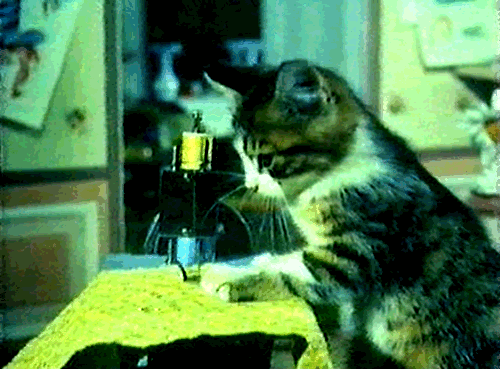 Animation of a CatSewing